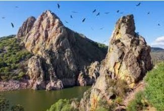 El Salto del Gitano en Monfragüe con buitres leonados sobrevolando el río